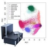 Flow-Cytometry