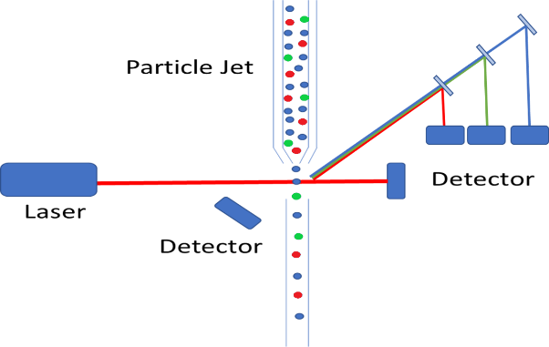 Cytometry