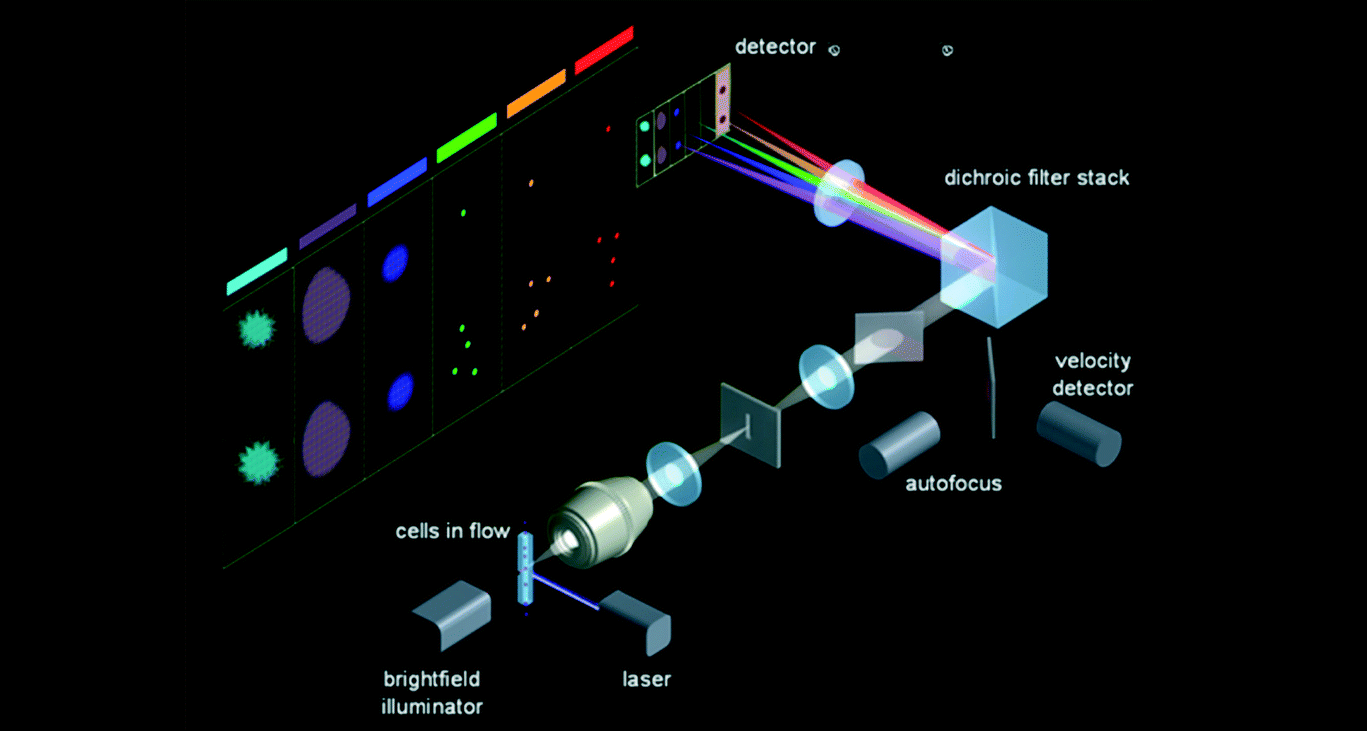 Flow Cytometry Application Setup Diagram Social