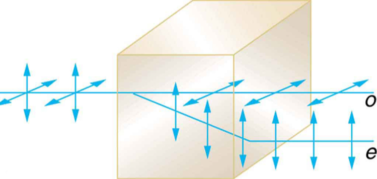 Image-Polarizing-Beam-Displacer-Ordinary-Extraordinary-Beam-Displacement