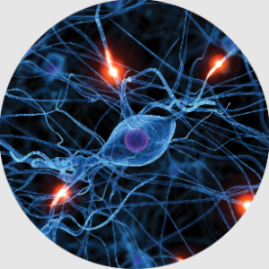 artists impression of neurons firing to illustrate life science, biophotonics, and research laser markets
