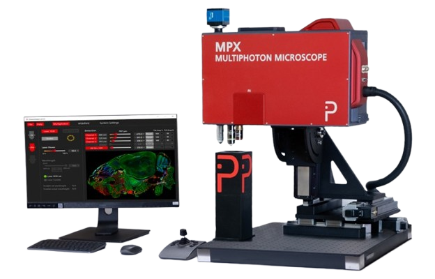 MPX: Plug-and-Play, Multimodal Multiphoton Microscope